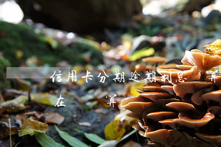 信用卡分期逾期利息計算器(逾期利息計算器在線計算)