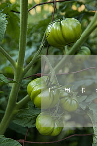 信用卡分期逾期壞處(信用卡分期逾期壞處)