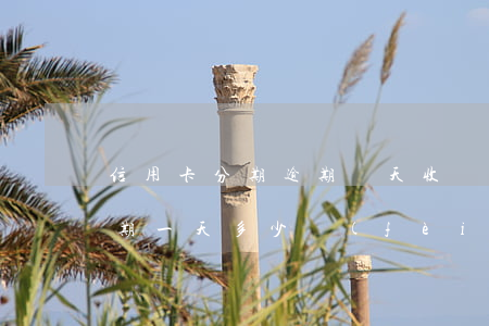信用卡分期逾期幾天收費(fèi)(分期逾期一天多少費(fèi)用)