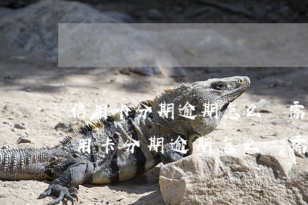 信用卡分期逾期怎么辦需要全額還清嗎-信用卡分期逾期怎么辦需要全額還清嗎