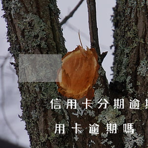 信用卡分期逾期怎麼算-分期卡逾期屬于信用卡逾期嗎