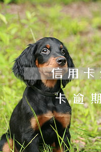 信用卡分期逾期被關(guān)閉-分期卡逾期新法規(guī)
