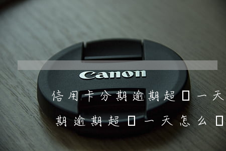 信用卡分期逾期超過一天怎么辦-信用卡分期逾期超過一天怎么辦理