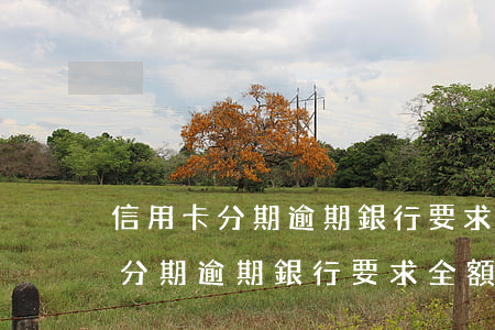 信用卡分期逾期銀行要求全額還款-信用卡分期逾期銀行要求全額還款是真的嗎