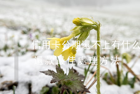 信用卡分期還不上有什么后果-信用卡無力還款最佳處理方法