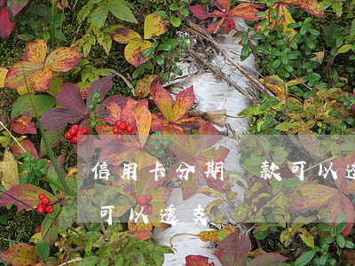 信用卡分期還款可以透支嗎(信用卡分期還款可以透支嗎)
