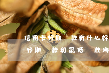 信用卡分期還款有什么好處和壞處-信用卡分期還款和最低還款哪個(gè)劃算