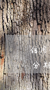 信用卡分期還款每月沒(méi)還夠逾期(分期逾期了還能分期嗎)