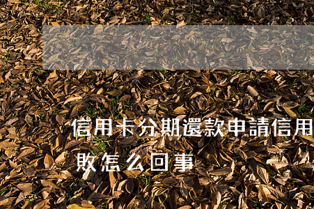 信用卡分期還款申請(信用卡分期還款申請失敗怎么回事)