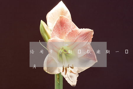 信用卡分期還款逾期一個月(來分期逾期兩個月)