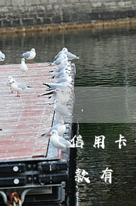 信用卡分期還款逾期三天(來分期逾期3天還款有沒有事)