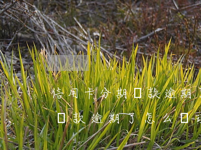 信用卡分期還款逾期了怎么辦-信用卡分期還款逾期了怎么辦理