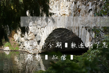 信用卡分期還款逾期了怎么辦理(欠信用卡分期影響征信嗎)