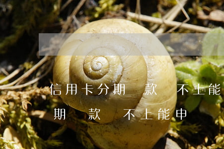 信用卡分期還款還不上能申請嗎-信用卡分期還款還不上能申請嗎怎么辦