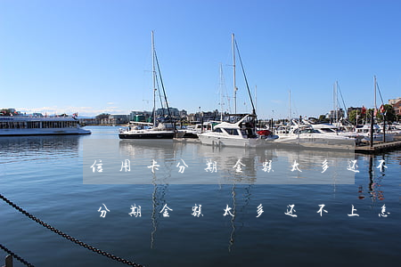 信用卡分期金额太多还不上怎么办-信用卡分期金额太多还不上怎么办呢