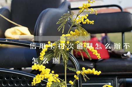 信用卡初次逾期怎么辦(不小心信用卡逾期了怎么辦)