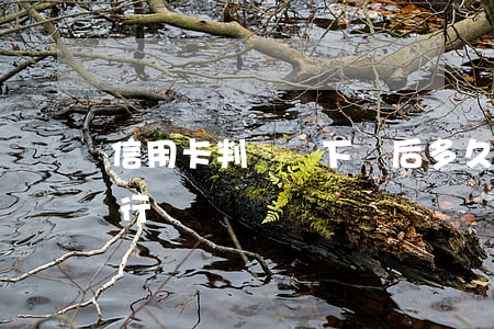 信用卡判決書下來后多久強制執(zhí)行
