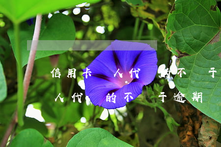 信用卡別人代還的不屬于逾期嗎-信用卡別人代還的不屬于逾期嗎怎么辦