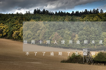 信用卡別人使用逾期未還(信用卡別人用了還不了了,逾期了怎么辦)