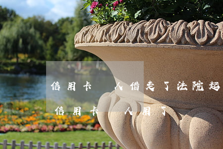 信用卡別人借走了法院起訴能贏嗎-自己的信用卡別人用了錢沒還能起訴