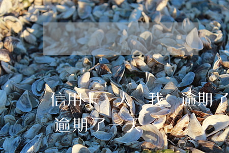 信用卡別人幫我還逾期了(信用卡別人幫我還逾期了一天)