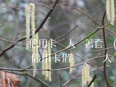 信用卡別人幫著套現(xiàn)不還了(套信用卡借錢給別人別人不還)