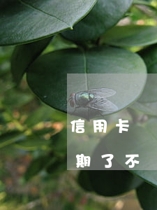 信用卡別人用不還可以告(信用卡讓別人用,逾期了不還怎么辦)