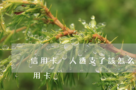 信用卡別人透支了該怎么辦(別人透支自己信用卡)