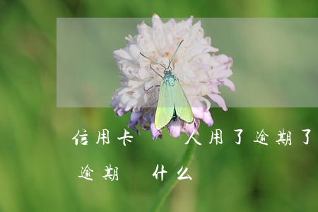 信用卡別別人用了逾期了(收到別人的信用卡逾期為什么)