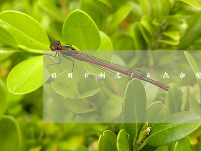 信用卡利息18点合规吗（信用卡利息1w）