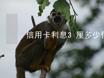 信用卡利息3厘多少 信用卡3000利息