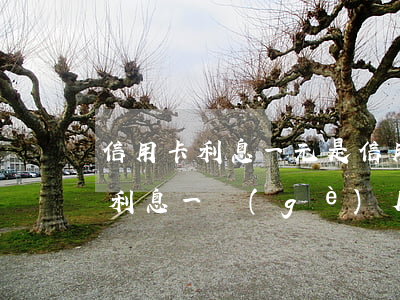 信用卡利息一元(是信用卡一萬(wàn)元利息一個(gè)月多少錢)