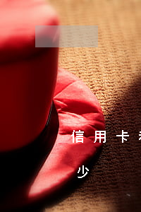 信用卡利息一天一萬(信用卡1萬一天收益多少)