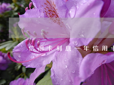 信用卡利息一年(信用卡最低還款利息)
