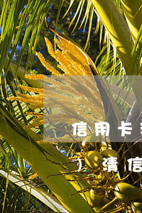 信用卡利息一次性收取-一次性結(jié)清信用卡可以免利息嗎