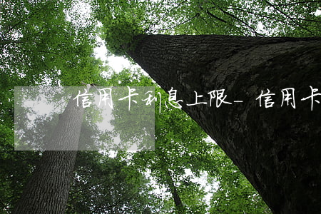 信用卡利息上限-信用卡 实际利率