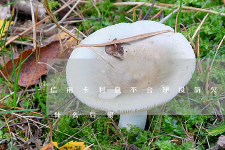 信用卡利息不合理投訴 欠信用卡利息不還有什么后果