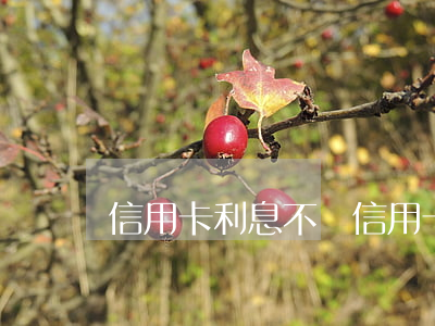 信用卡利息不對(信用卡利息不對怎么辦)