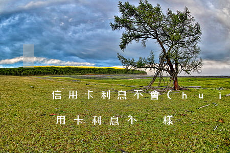 信用卡利息不會(huì)一直漲 為什么信用卡利息不一樣