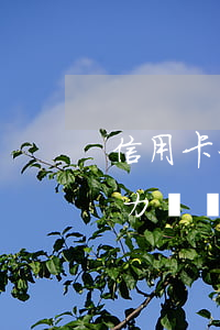 信用卡利息不用還了-欠信用卡利息太大無力償還