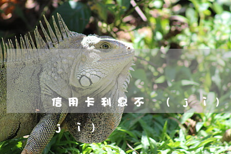 信用卡利息不計(jì)(信用卡利息不計(jì))