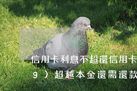 信用卡利息不超 還信用卡利息已經(jīng)超越本金還需還款嗎
