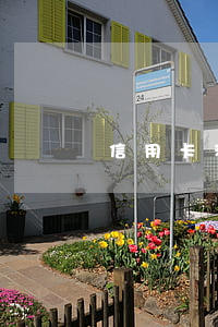 信用卡利息不還違法嗎(欠信用卡利息可以不還嗎)