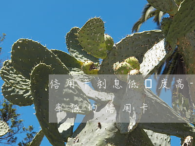 信用卡利息低額度高-取現(xiàn)利率低的信用卡