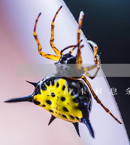 信用卡利息余額(信用卡 借記利息)