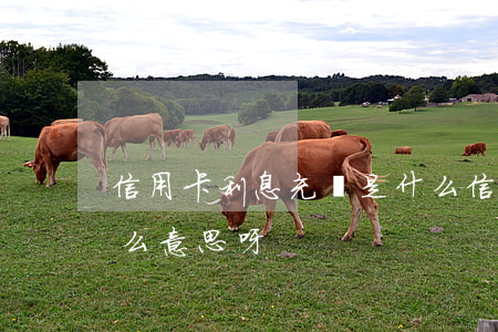信用卡利息充減是什么(信用卡利息充減是什么意思呀)