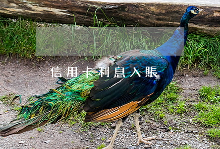 信用卡利息入賬