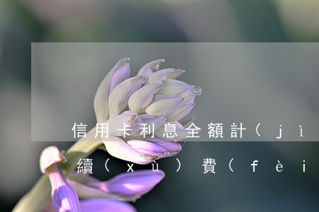 信用卡利息全額計(jì)算(信用卡 利息 手續(xù)費(fèi))