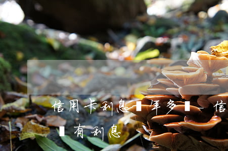 信用卡利息兩年多說-信用卡利息兩年多說沒有利息