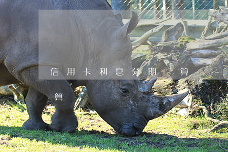 信用卡利息分期劃算嗎-信用卡利息分期劃算嗎